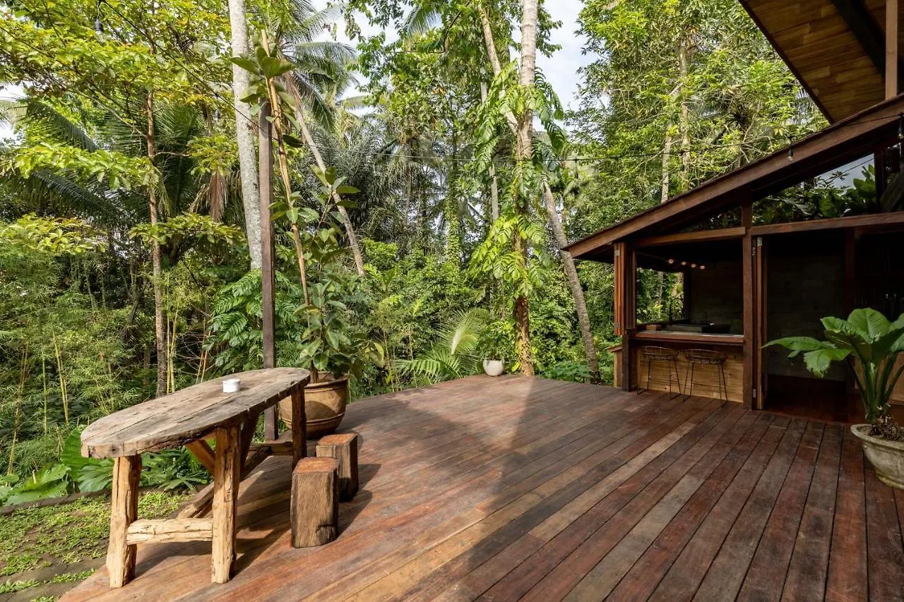 Casa Pohon Ubud אובוד