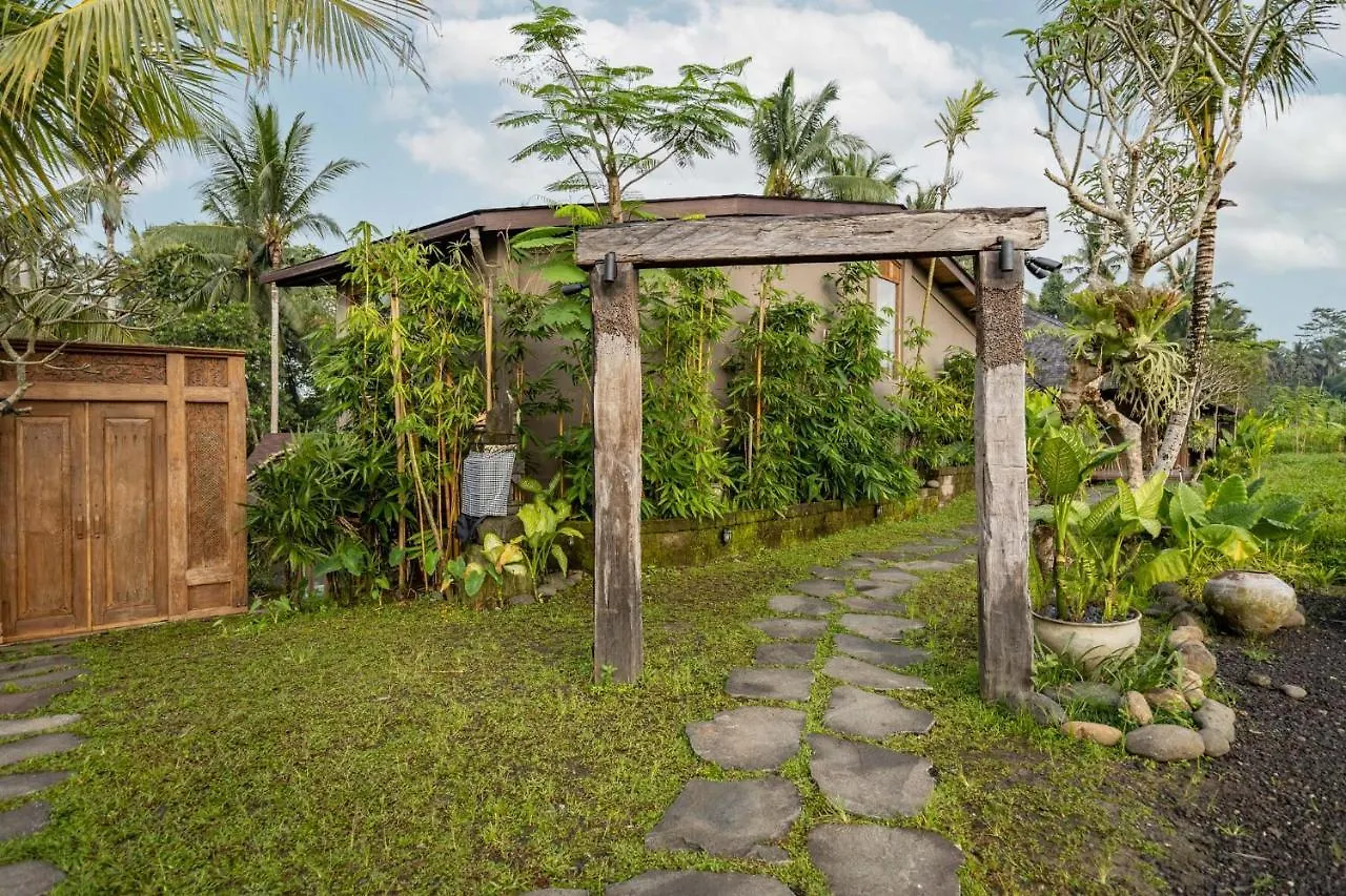 Casa Pohon Ubud 0*, אובוד