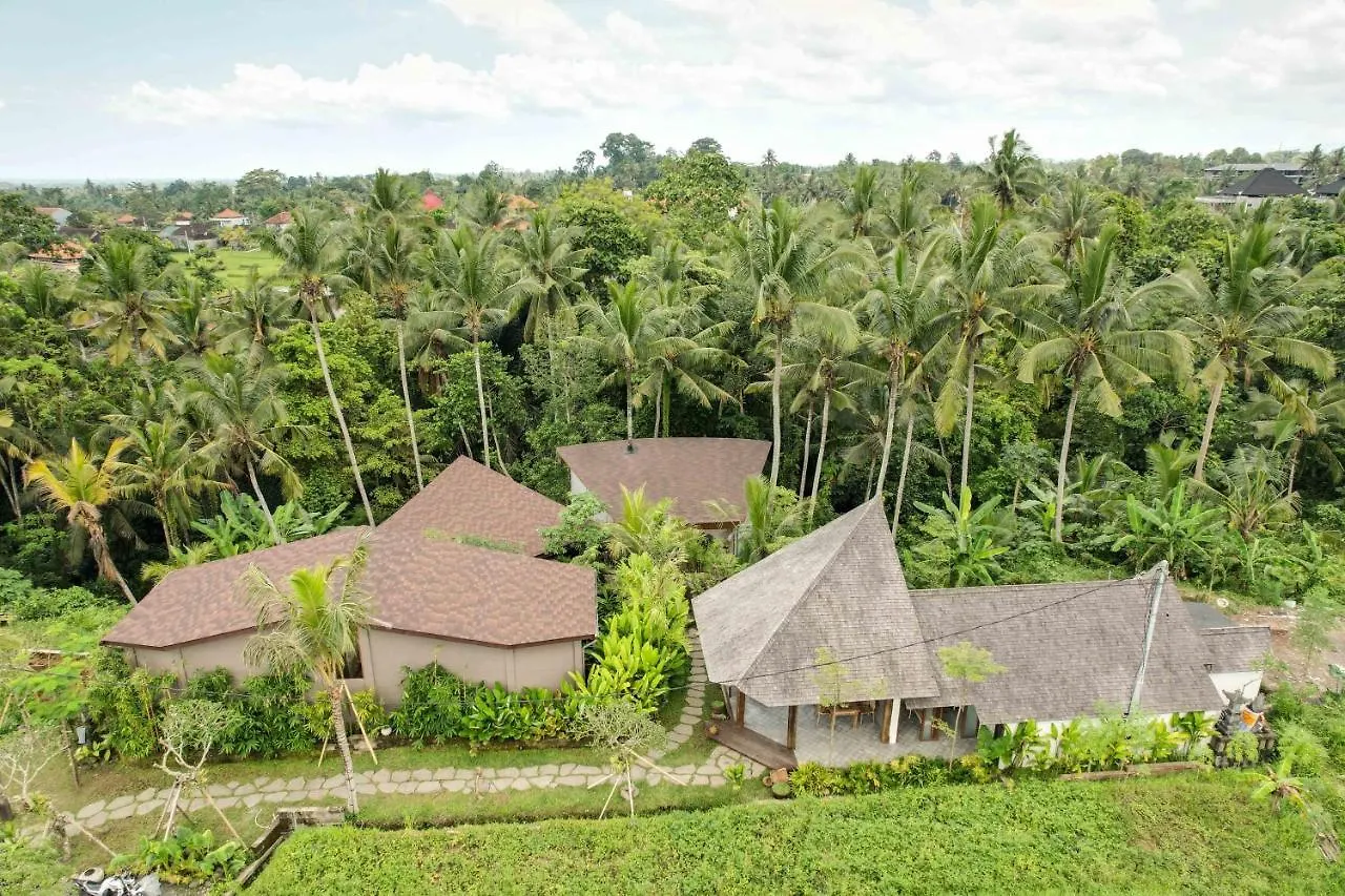 Casa Pohon Ubud וילה אובוד